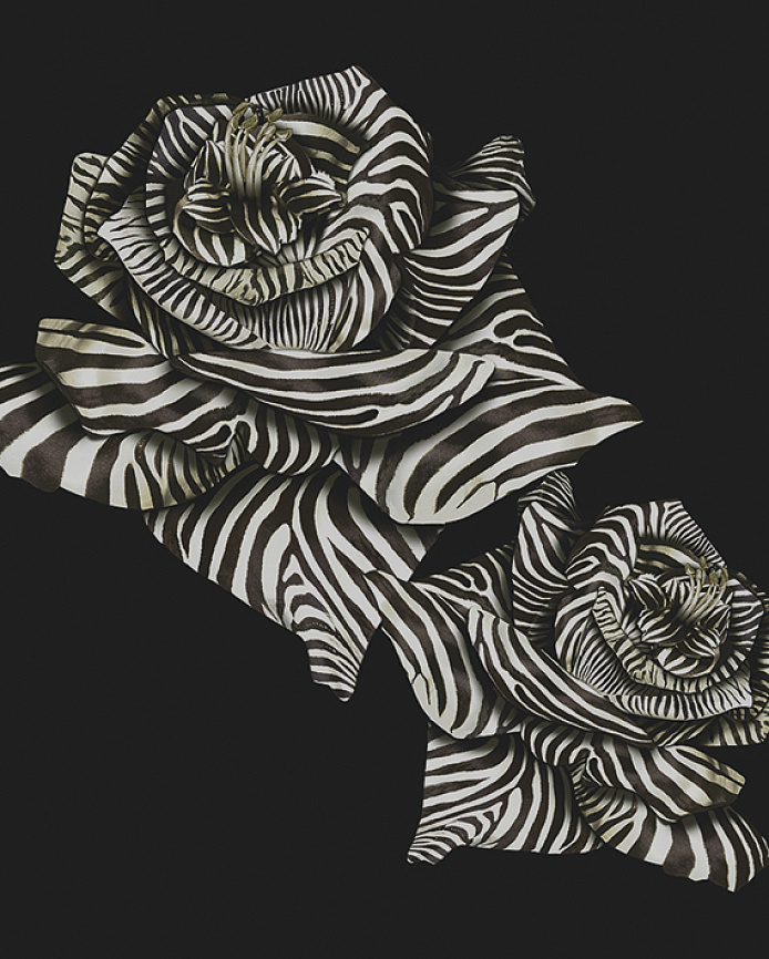 Emiliana Parati Roberto Cavalli №8 19115