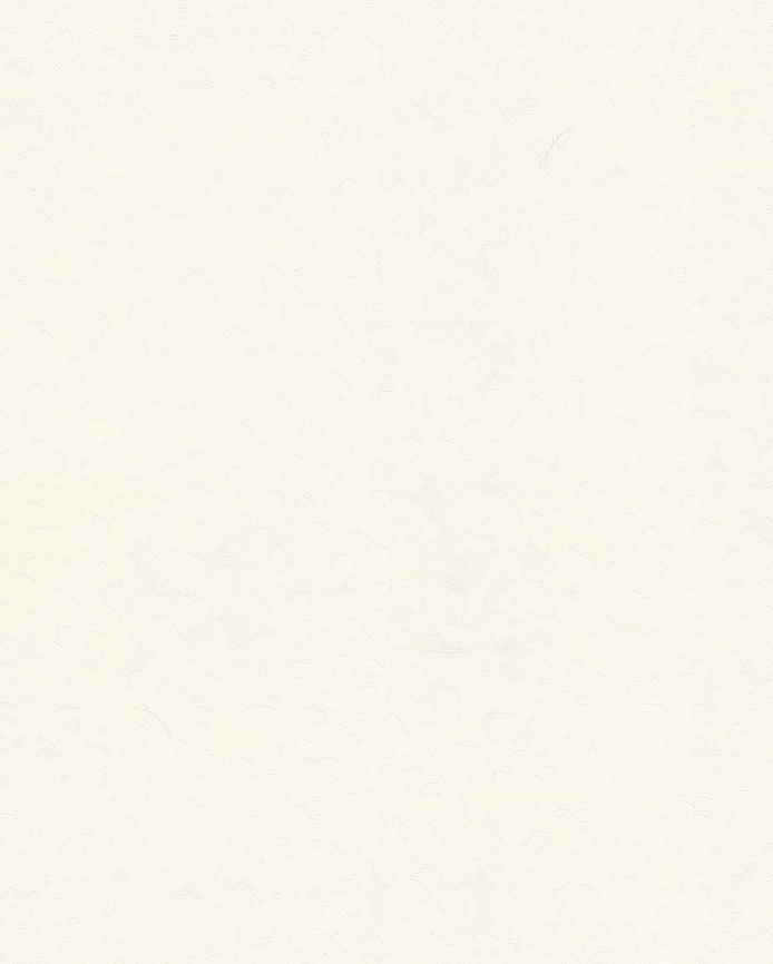 Emiliana Parati Dolce&Gabbana №1 30002DG