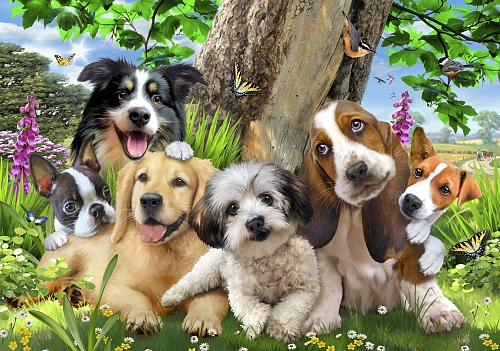 Partner Селфи-Соло (Selfi-Solo) 12877V8